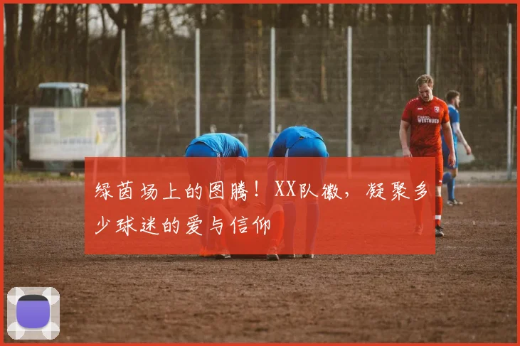 绿茵场上的图腾！XX队徽，凝聚多少球迷的爱与信仰