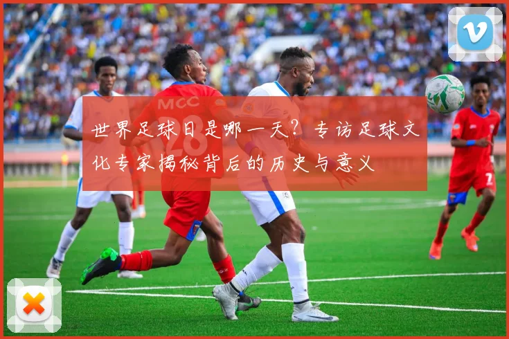 世界足球日是哪一天？专访足球文化专家揭秘背后的历史与意义